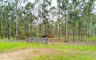Residential Block For Sale - QLD - Millstream - 4888 - Three acres on the Millstream  (Image 2)