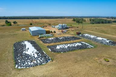 Dairy For Sale - VIC - Heywood - 3304 - A Noted Grass Growing Dairy Farm  (Image 2)