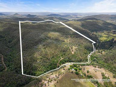 Livestock For Sale - QLD - Rockmount - 4344 - ‘Harrington Hill’ - Cattle Country in Toowoomba's doorstep  (Image 2)