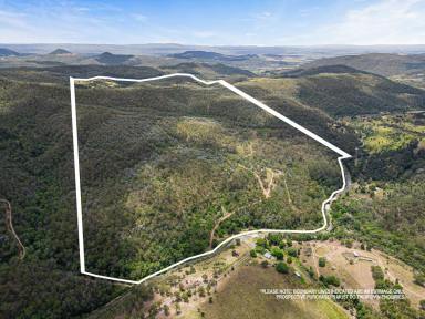 Livestock Sold - QLD - Rockmount - 4344 - ‘Harrington Hill’ - Cattle Country in Toowoomba's doorstep  (Image 2)