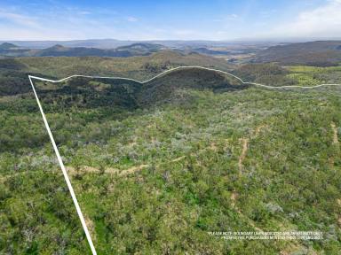 Livestock For Sale - QLD - Rockmount - 4344 - ‘Harrington Hill’ - Cattle Country in Toowoomba's doorstep  (Image 2)
