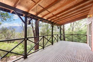 House For Sale - NSW - Spencer - 2775 - Private bush retreat  (Image 2)