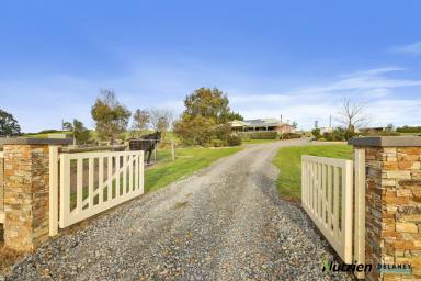 Lifestyle Sold - VIC - Longwarry - 3816 - 40 acres approx - don't miss this opportunity.  (Image 2)