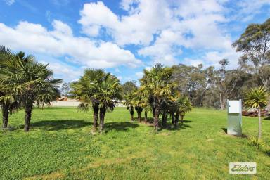 Residential Block For Sale - VIC - Junortoun - 3551 - 2.5 ACRES – BEAUTIFUL PARK LIKE SETTING  (Image 2)