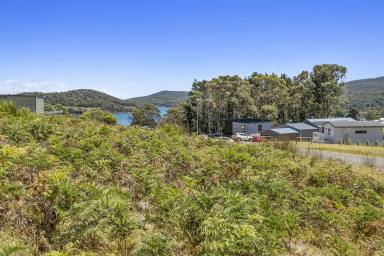 Residential Block For Sale - TAS - Nubeena - 7184 - Affordable Residential Land  (Image 2)