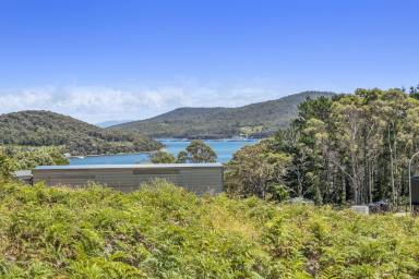 Residential Block For Sale - TAS - Nubeena - 7184 - Affordable Residential Land  (Image 2)