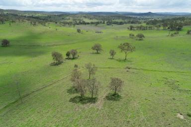 Mixed Farming For Sale - QLD - Emu Creek - 4355 - Sandy Creek - Retirement has arrived for our owner of this quality breeder, backgrounding property.  (Image 2)