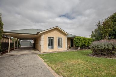 House Sold - SA - Naracoorte - 5271 - Timeless stone home in easy care surrounds - NEW PRICE  (Image 2)