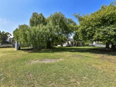 House Sold - SA - Penola - 5277 - Tranquil Setting in Quiet Area.  (Image 2)