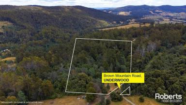 Other (Rural) Sold - TAS - Underwood - 7268 - Underwood Land  (Image 2)