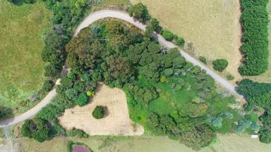 Lifestyle For Sale - VIC - Mirboo - 3871 - PRIVATE GETAWAY  (Image 2)