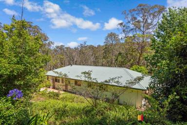 Acreage/Semi-rural For Sale - NSW - Benandarah - 2536 - DOWN BY THE RIVERFRONT  (Image 2)