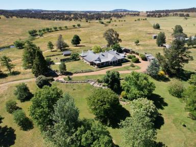 Livestock Sold - NSW - Walcha - 2354 - 155* Years of Single-Family Ownership  (Image 2)