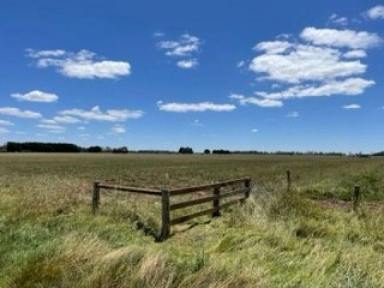 Lifestyle For Sale - VIC - Terang - 3264 - 160 acres Lifestyle / Hobby farm / Livestock / Cropping  (Image 2)