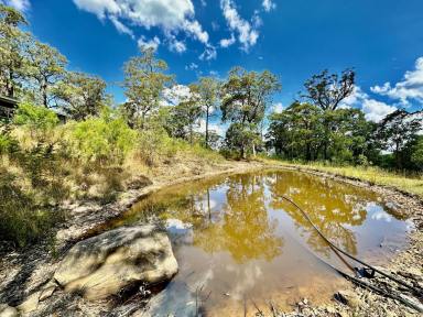 Lifestyle For Sale - NSW - Paynes Crossing - 2325 - Quiet Bushland Hideaway  (Image 2)