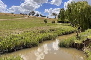 Lifestyle Sold - NSW - Taylors Flat - 2586 - ESCAPE TO THE COUNTRY WITH 108AC* WITH A PICTURESQUE OUTLOOK!  (Image 2)