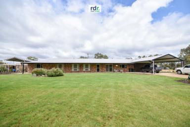Mixed Farming For Sale - NSW - Inverell - 2360 - "GLEN ALPIN"  (Image 2)