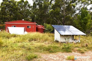 Residential Block For Sale - QLD - Booyal - 4671 - OFF GRID OASIS  (Image 2)