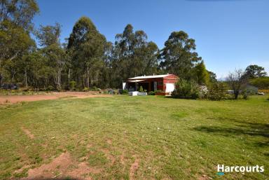 Residential Block For Sale - QLD - Booyal - 4671 - OFF GRID OASIS  (Image 2)