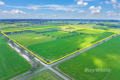 Mixed Farming For Sale - VIC - Stanhope - 3623 - Welcome to Rinneen  (Image 2)
