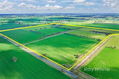 Mixed Farming For Sale - VIC - Stanhope - 3623 - Welcome to Rinneen  (Image 2)