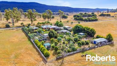 House Sold - TAS - Cluan - 7303 - Looking for a lifestyle change on 4000m²?  (Image 2)