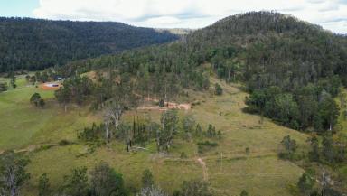 Lifestyle Sold - NSW - Blaxlands Creek - 2460 - Acreage Property Minutes from Nymboida  (Image 2)