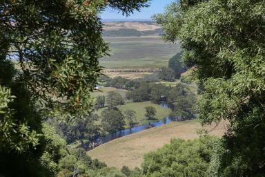 Lifestyle For Sale - VIC - Hordern Vale - 3238 - CAPTIVATING GREAT OCEAN ROAD PROPERTY  (Image 2)
