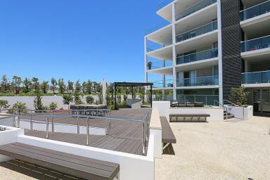 Apartment For Lease - WA - East Perth - 6004 - Modern and Lovely Apartment  (Image 2)