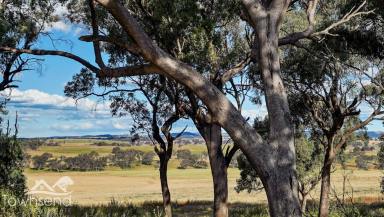 Other (Rural) For Sale - NSW - Boomey - 2866 - Just the most beautiful block you'll ever find!  (Image 2)