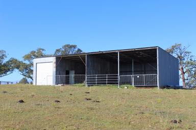 Livestock For Sale - NSW - Tunglebung - 2469 - Endless Rural Opportunity  (Image 2)