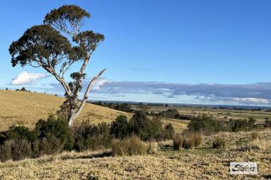 Other (Rural) For Sale - VIC - Stratford - 3862 - Farmland with a ton of potential  (Image 2)
