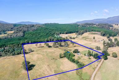 Residential Block For Sale - TAS - Ellendale - 7140 - Welcome to Paradise  (Image 2)