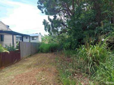 Residential Block For Sale - QLD - Russell Island - 4184 - 506m2 Vacant Block  (Image 2)