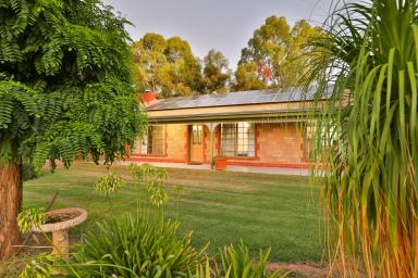 House Sold - VIC - Irymple - 3498 - Grand Family Residence  (Image 2)