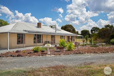 House Sold - VIC - Ross Creek - 3351 - Equine Lifestyle Property On 20 Cleared Acres  (Image 2)