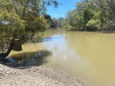 Mixed Farming For Sale - NSW - Boomi - 2405 - Boronga, Boomi,  (Image 2)