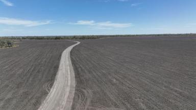 Mixed Farming For Sale - NSW - Boomi - 2405 - Boronga, Boomi,  (Image 2)