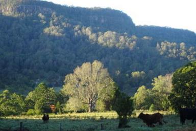 Other (Rural) Sold - NSW - Larnook - 2480 - Far From The Madding Crowds! (but close to everything)...  (Image 2)