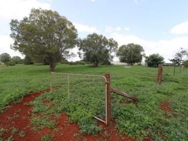 Residential Block For Sale - QLD - Childers - 4660 - 32 ACRE DEVELOPMENT BLOCK NEXT TO SCHOOL  (Image 2)
