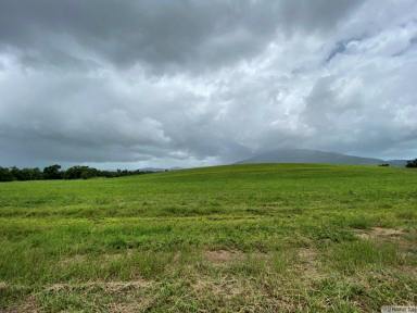Residential Block For Sale - QLD - Tully - 4854 - NEW SUBDIVISION – FOR SALE BY EXPRESSION OF INTEREST  (Image 2)