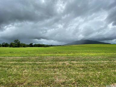 Residential Block Sold - QLD - Tully - 4854 - NEW SUBDIVISION – FOR SALE BY EXPRESSION OF INTEREST  (Image 2)