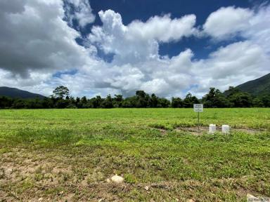 Residential Block For Sale - QLD - Tully - 4854 - NEW SUBDIVISION – FOR SALE BY EXPRESSION OF INTEREST  (Image 2)