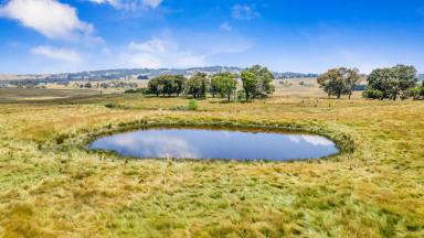 Other (Rural) Sold - NSW - Oberon - 2787 - HIDDEN
VIEW
14.93 Ha or 36.89 Acres*  (Image 2)