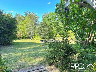 House Leased - NSW - Kyogle - 2474 - Peaceful Off-Grid Home  (Image 2)