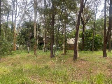Residential Block Sold - QLD - Macleay Island - 4184 - Semi Cleared block  (Image 2)
