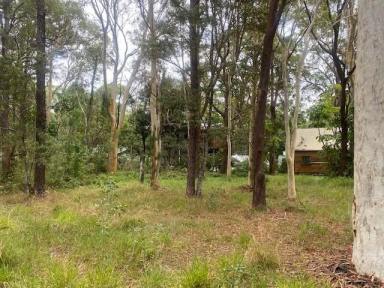 Residential Block Sold - QLD - Macleay Island - 4184 - Semi Cleared block  (Image 2)