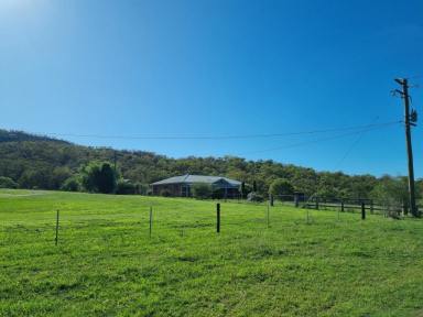 Mixed Farming For Sale - nsw - Scone - 2337 - 250 Acres, Can Be Sub-Divided  (Image 2)