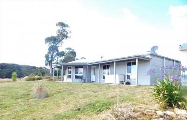 Other (Rural) For Sale - NSW - Kybeyan - 2631 - 190 Acres with House/Sheds & Privacy  (Image 2)
