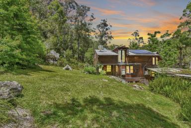 Lifestyle Sold - NSW - Wollombi - 2325 - Hidden Mountain Country Escape!  (Image 2)